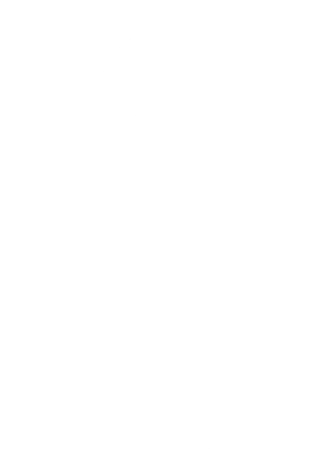 Agencia de Publicidad en Manzanillo